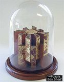 Glass Display Dome with Walnut Base